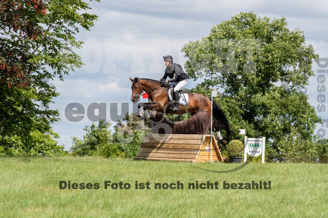 Bonn-Rodderberg Late-Entry-Vielseitigkeit (30.06.2020)