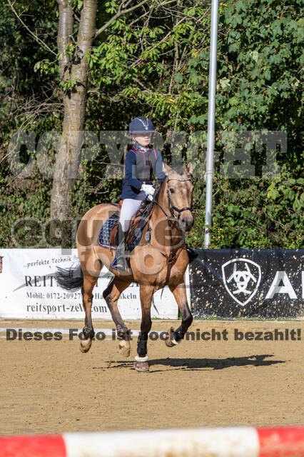 RFV Dinslaken-Hiesfeld (Herbstturnier)