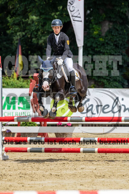 Goldene Schärpe 2021 - Ponys