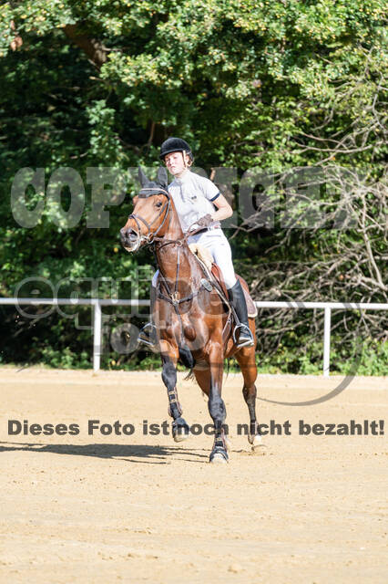 RFV Dinslaken-Hiesfeld (Herbstturnier)