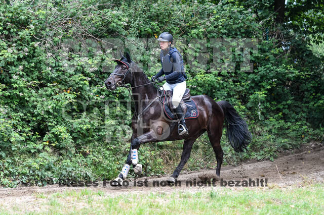 Late-Entry-Vielseitigkeit Langenfeld (11.+13./14.06.2020)