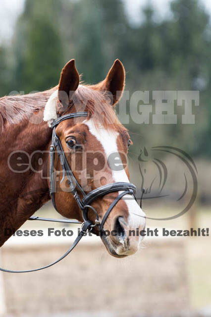 Geländetraining RSV St. Hubertus Wesel Obrighoven