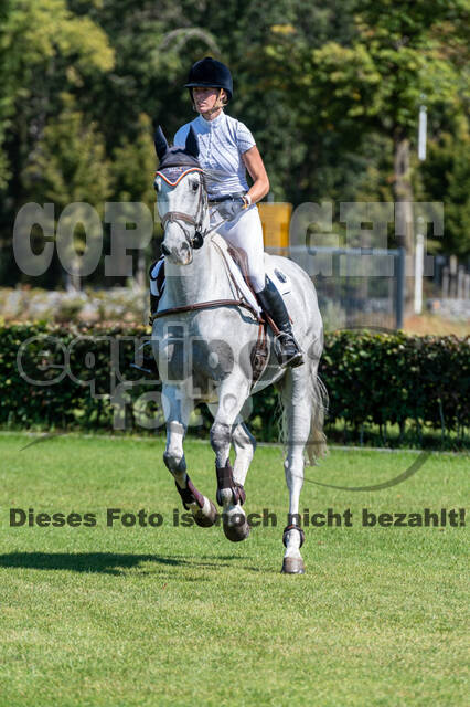 Kronenberg - De Peelbergen (August 2020)