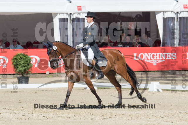 FEI European Championship Eventing 2017