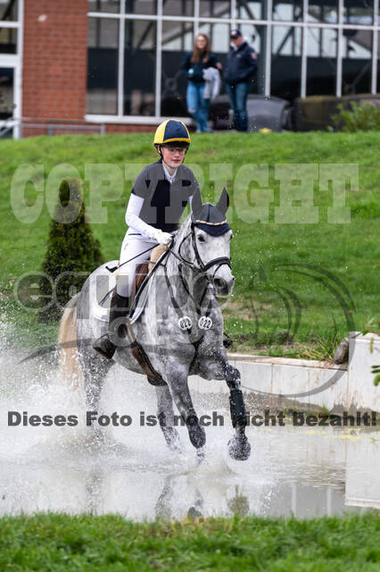 Goldene Schärpe 2020 - Pferde