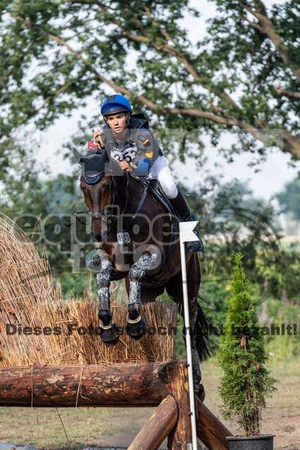 De Peelbergen (August 2020)