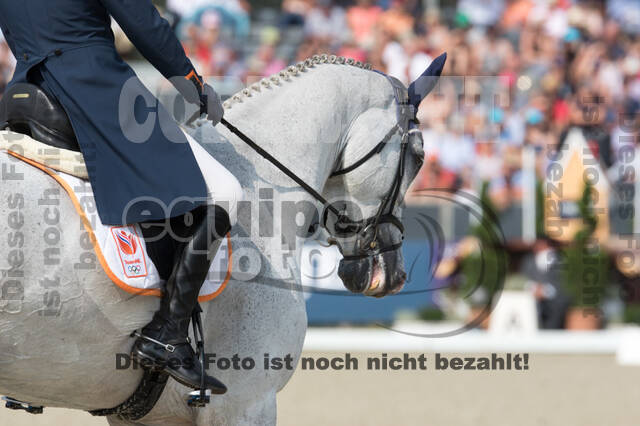 FEI European Championship Eventing 2019