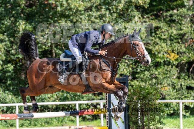 RFV Dinslaken-Hiesfeld (Herbstturnier)