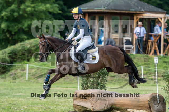 Goldene Schärpe 2021 - Ponys