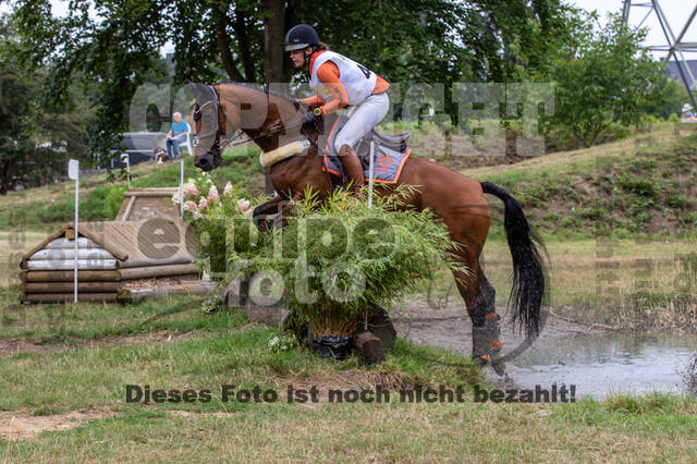 Late-Entry Vielseitigkeit Hamminkeln/Wesel (01.+02.08.2020)