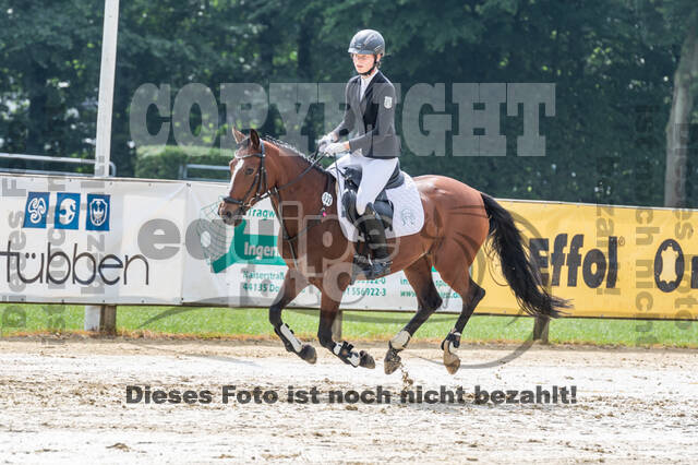 Goldene Schärpe 2021 - Ponys