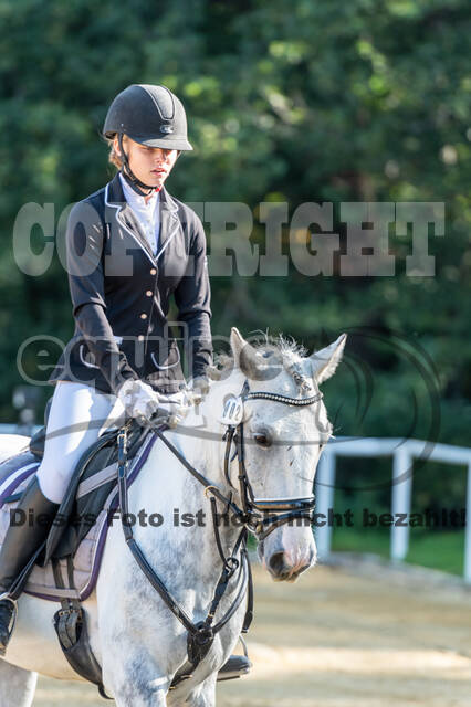 RFV Dinslaken-Hiesfeld (Herbstturnier)