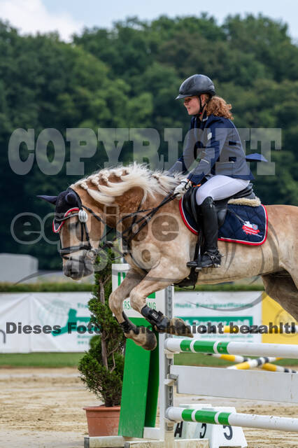 Goldene Schärpe 2021 - Ponys
