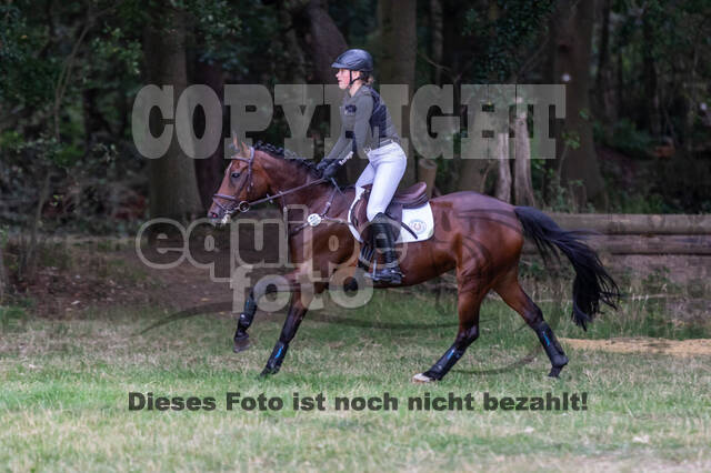 Late-Entry Vielseitigkeit Hamminkeln/Wesel (01.+02.08.2020)