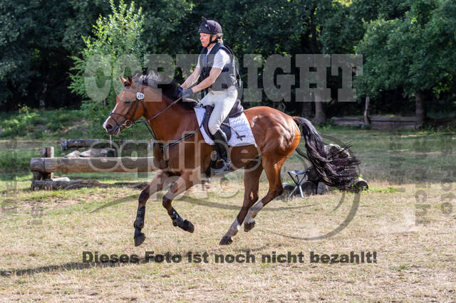 Late-Entry Vielseitigkeit Hamminkeln/Wesel (01.+02.08.2020)