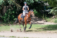 Late-Entry-Vielseitigkeit Langenfeld (11.+13./14.06.2020)