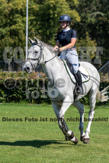 Kronenberg - De Peelbergen (August 2020)