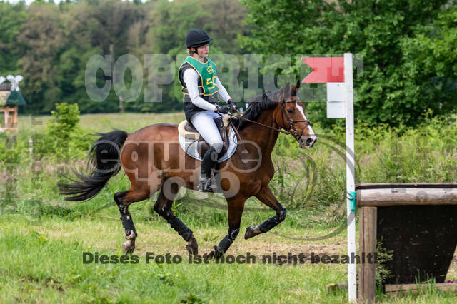 Westerstede Horse Trials (10.-13.06.2021)