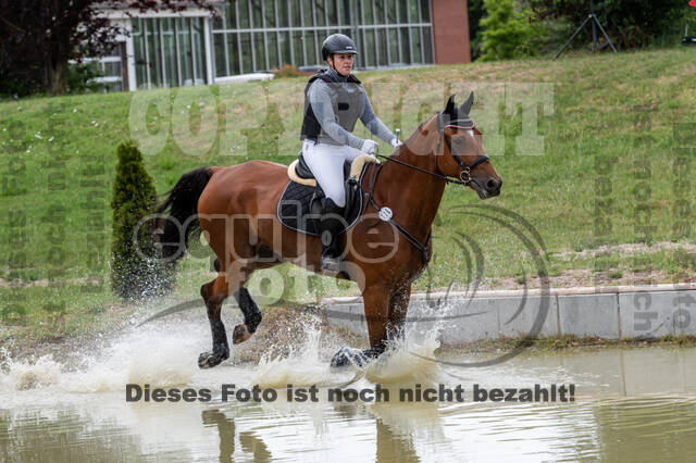 Late-Entry-Vielseitigkeit Langenfeld (11.+13./14.06.2020)