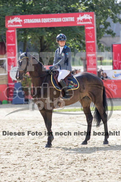 FEI European Championship