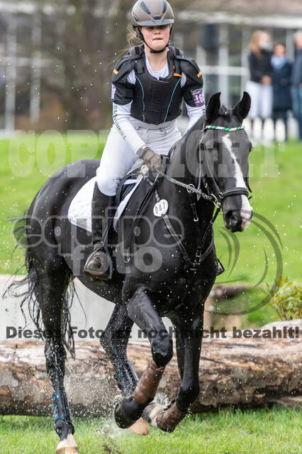Goldene Schärpe 2020 - Pferde