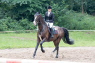 Vielseitigkeitsturnier Bad Honnef