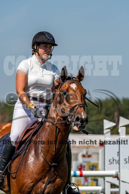 Kronenberg - De Peelbergen (August 2020)