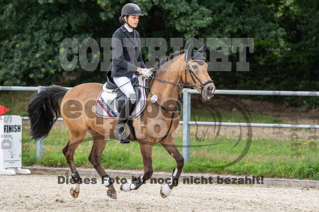 Late-Entry-Vielseitigkeit Langenfeld (06.+07.07.2020)