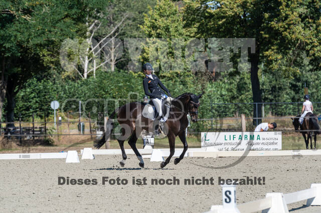 Kronenberg - De Peelbergen (August 2020)