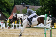 Goldene Schärpe 2021 - Ponys