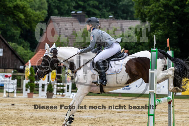 Goldene Schärpe 2021 - Ponys