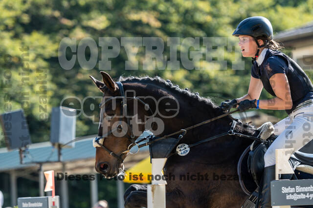 RFV Dinslaken-Hiesfeld (Herbstturnier)