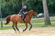 Hunter Geländetraining 10.07.2021 (Sonsbeck)