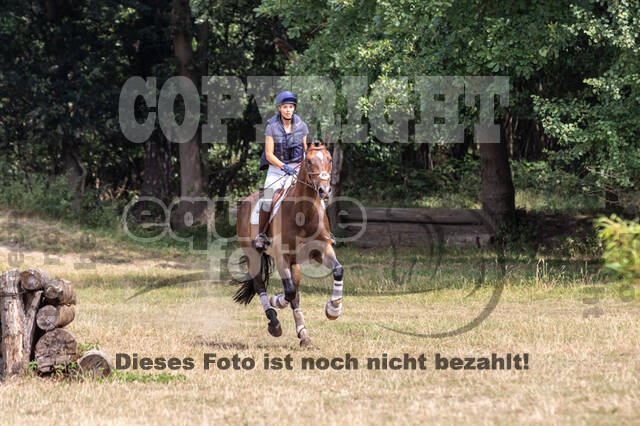 Late-Entry Vielseitigkeit Hamminkeln/Wesel (01.+02.08.2020)
