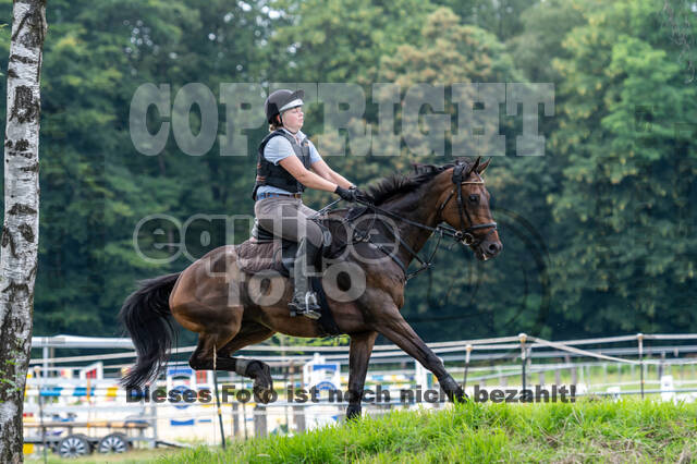 Hunter Geländetraining 10.07.2021 (Sonsbeck)