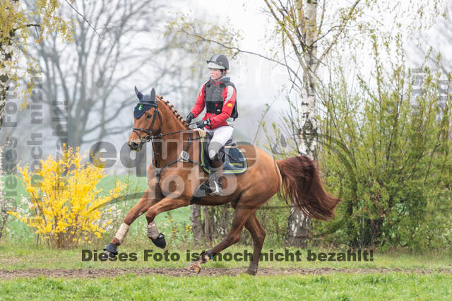 Berufsreiter Late Entry Gahlen 2021