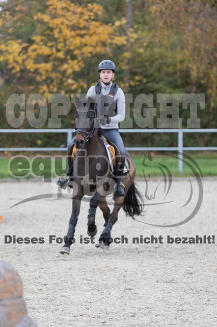 IGV Lehrgang der Sieger der Cups mit Frank Ostholt