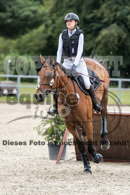 Late-Entry-Vielseitigkeit Langenfeld (11.+13./14.06.2020)