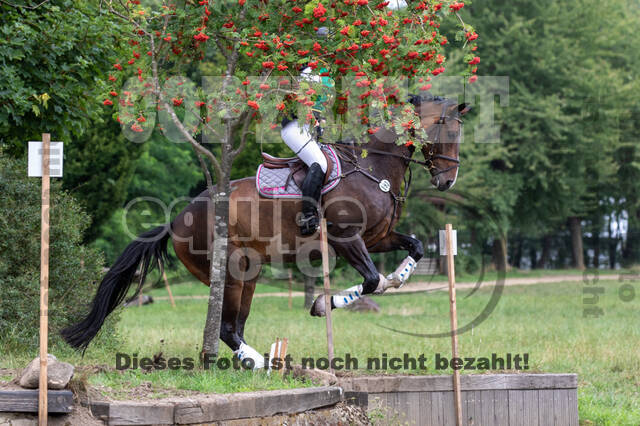 Late-Entry-Vielseitigkeit Gahlen (18.07.2020)