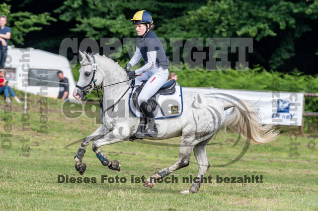 Goldene Schärpe 2021 - Ponys