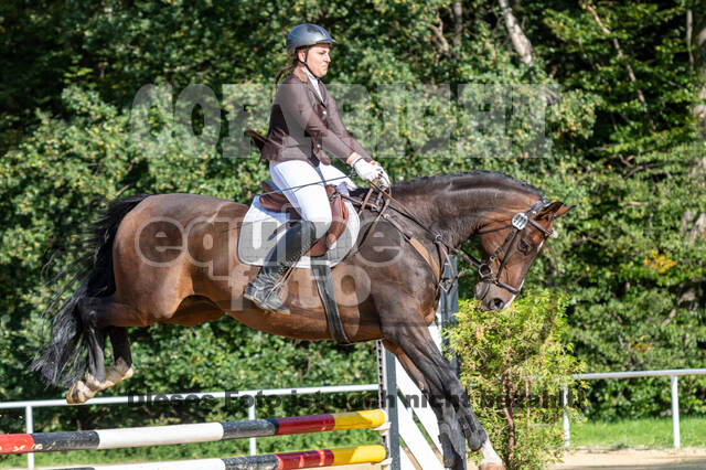 RFV Dinslaken-Hiesfeld (Herbstturnier)