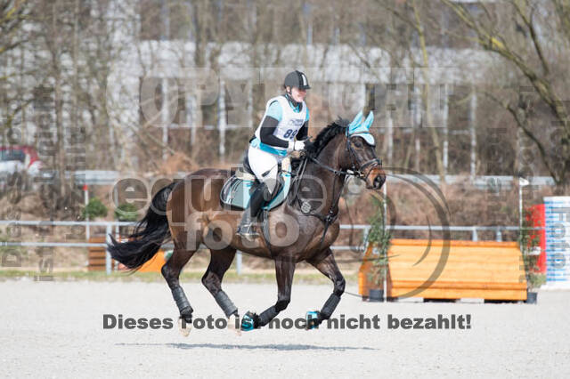 Eventing Langenfeld 2018