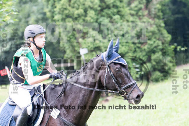RFV Bad Honnef