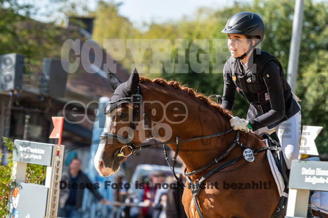 RFV Dinslaken-Hiesfeld (Herbstturnier)