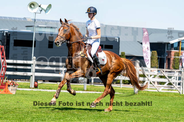 Kronenberg - De Peelbergen (August 2020)