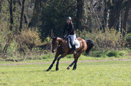 Vielseitigkeitsturnier RV Lippe-Bruch-Gahlen