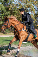IGV Lehrgang der Sieger der Cups mit Frank Ostholt