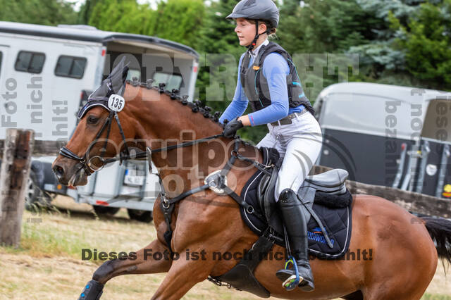 Late-Entry Vielseitigkeit Hamminkeln/Wesel (01.+02.08.2020)