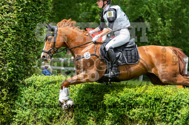 Westerstede Horse Trials 2021