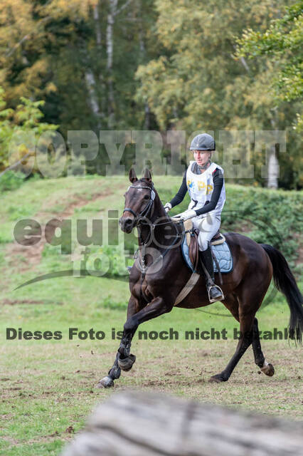 Vielseitigkeit RSV Wesel Obrighoven (26.+27.09.2020)